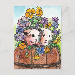 Postal Pansies y amigos