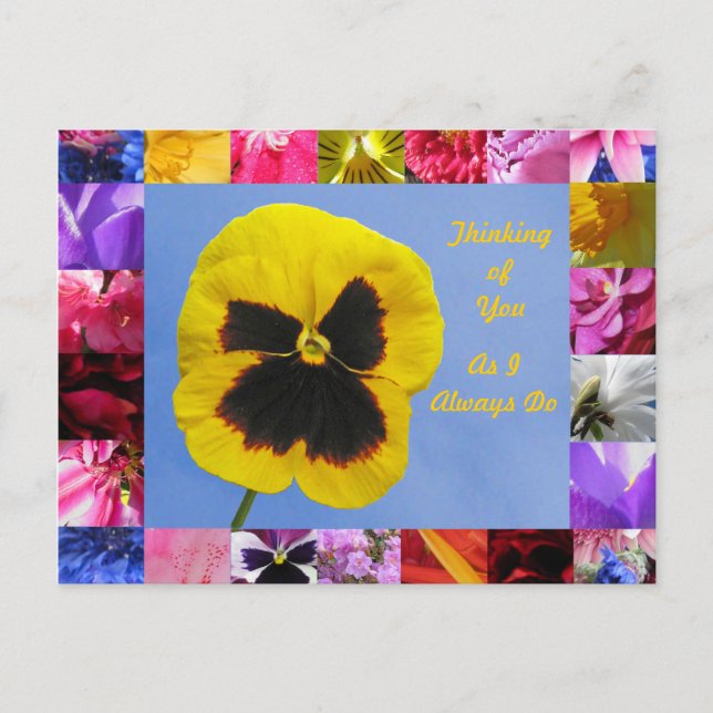 Postal Pansy Garden (Anverso)