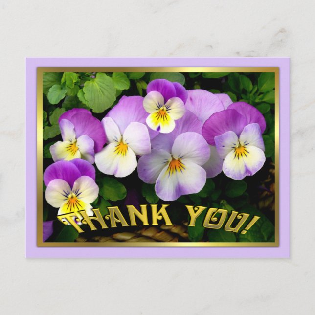 Postal Pansy ~ Gracias ~ Postcard (Anverso)