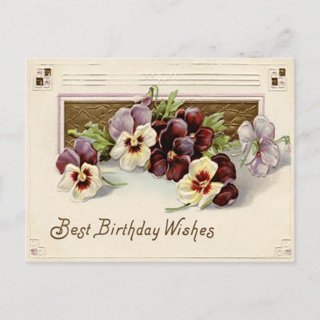 Postal Pansy Pansies Purple White (Anverso)