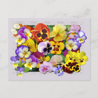 POSTAL PANSY PATCHWORK