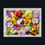 POSTAL PANSY PATCHWORK<br><div class="desc">Las panes coloridas hacen de esta una deliciosa postal para los amantes de las flores,  genial para cualquier nota alegre útil para los deseos de "Get Well",  etc.</div>
