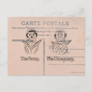 Postal Pansy y chimpancé Humor