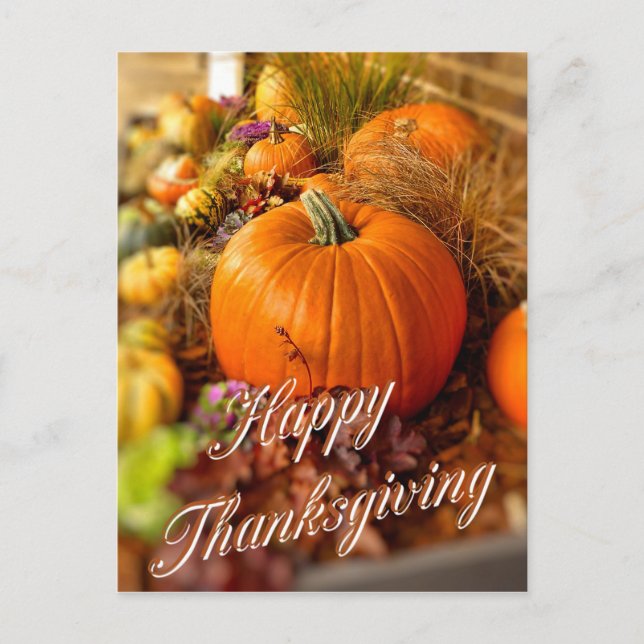 Postal Pantalla de calabazas (Anverso)