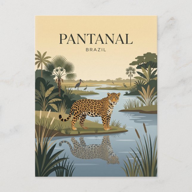 Postal Pantanal Brasil (Anverso)