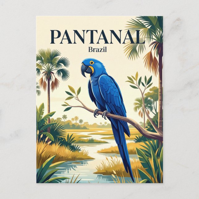 Postal Pantanal Brasil (Anverso)