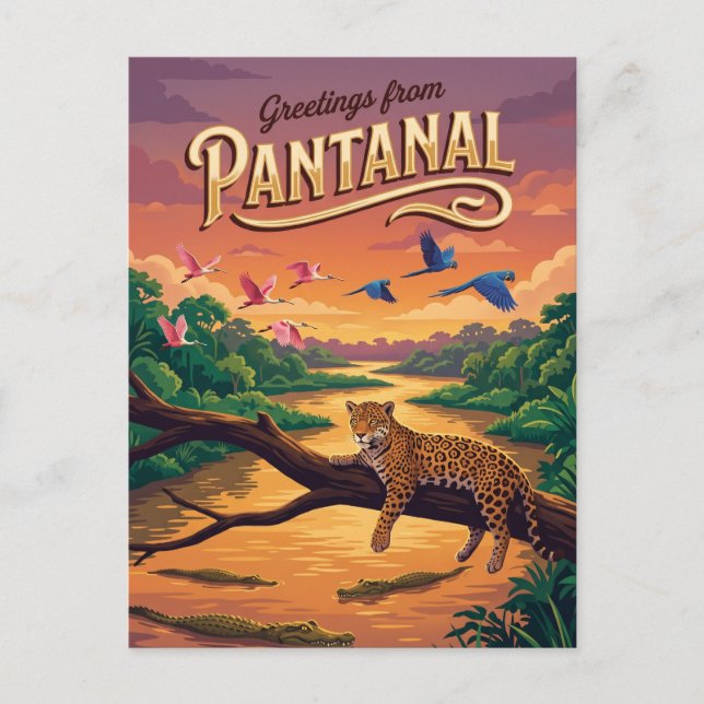 Postal Pantanal Brasil (Anverso)