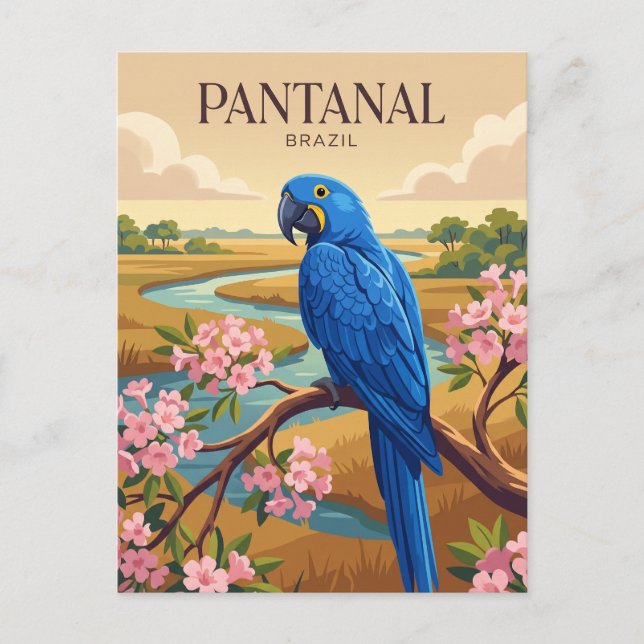 Postal Pantanal Brasil (Anverso)