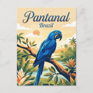 Postal Pantanal Brasil