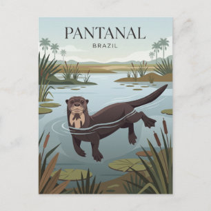 Postal Pantanal Brasil
