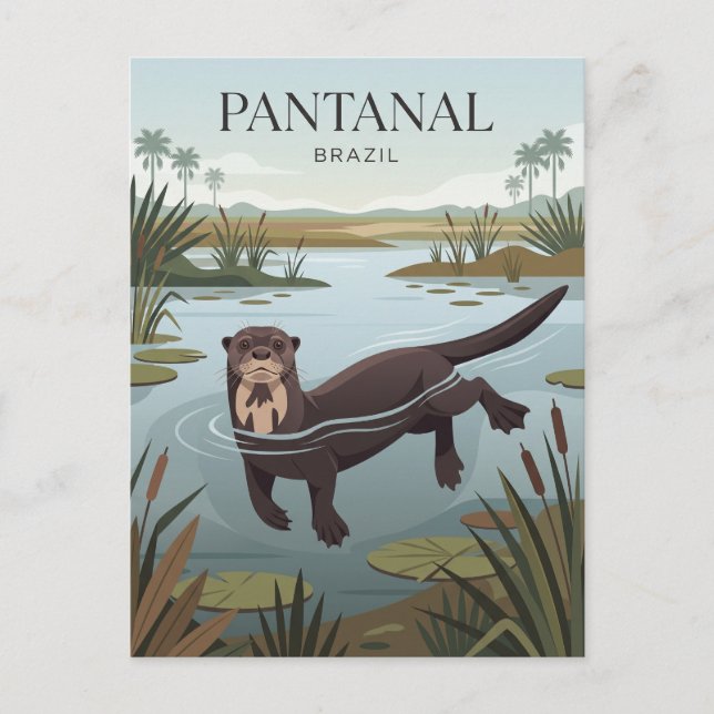 Postal Pantanal Brasil (Anverso)