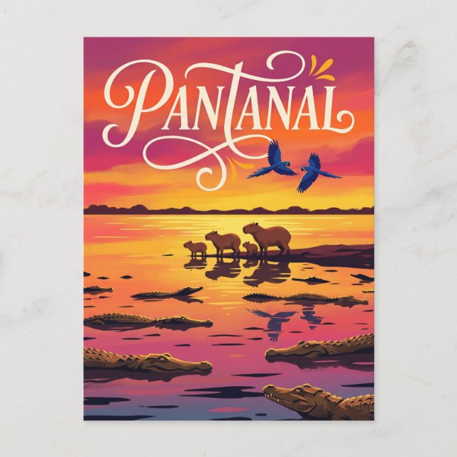 Postal Pantanal Brasil (Anverso)