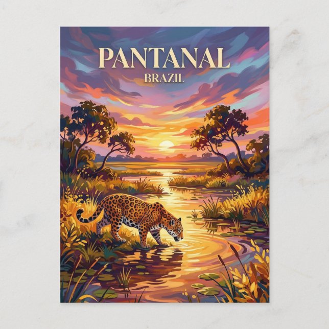 Postal Pantanal Brazil (Anverso)
