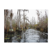 Pantano Okefenokee, Georgia
