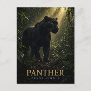 Postal Pantera densa selva fauna ANIMAL