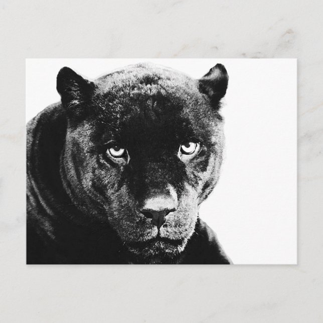 Postal Pantera negra Jaguar (Anverso)