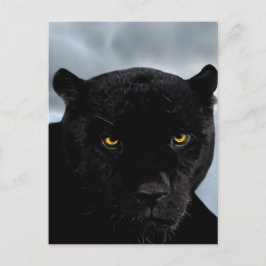 Postal Pantera negra Panthera