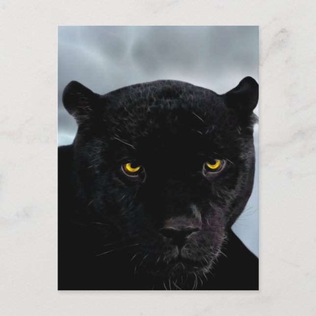 Postal Pantera negra Panthera (Anverso)