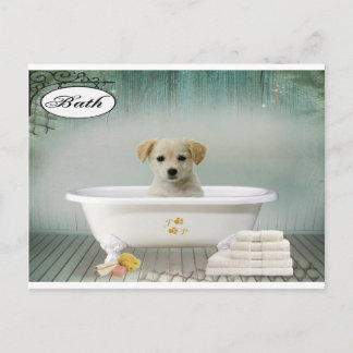 Postal Pañuelo de tiempo de baño