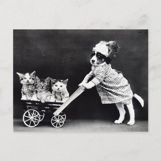 Postal Papas y gatitos vintage (Anverso)