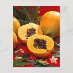 Postal Papaya