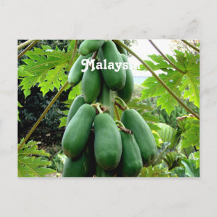 Postal Papaya