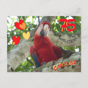 Postal Papel de cumpleaños 75 del loro rojo colorido