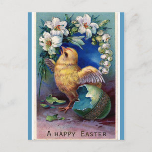 Postal Papel de pollo de Pascua y Lilis