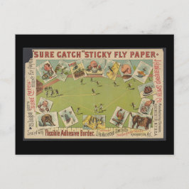 Postal Papel pegajoso de vuelo "Sure Catch"