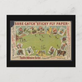 Postal Papel pegajoso de vuelo "Sure Catch"