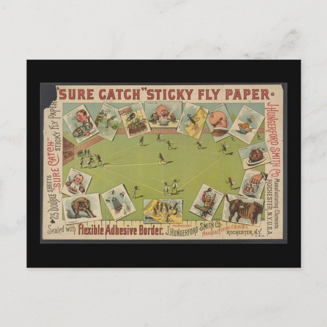 Postal Papel pegajoso de vuelo "Sure Catch" (Anverso)