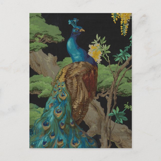 Postal Papel tapiz de época El árbol del cedro de 1910 (Anverso)