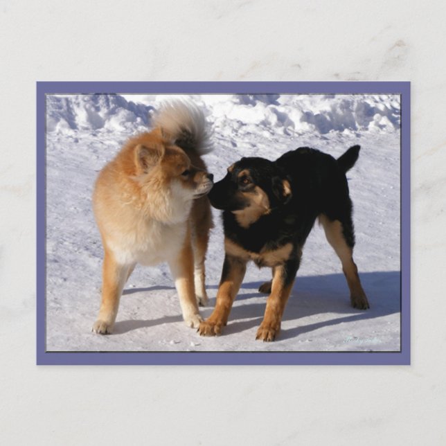 Postal Papelera de reproducción (Anverso)