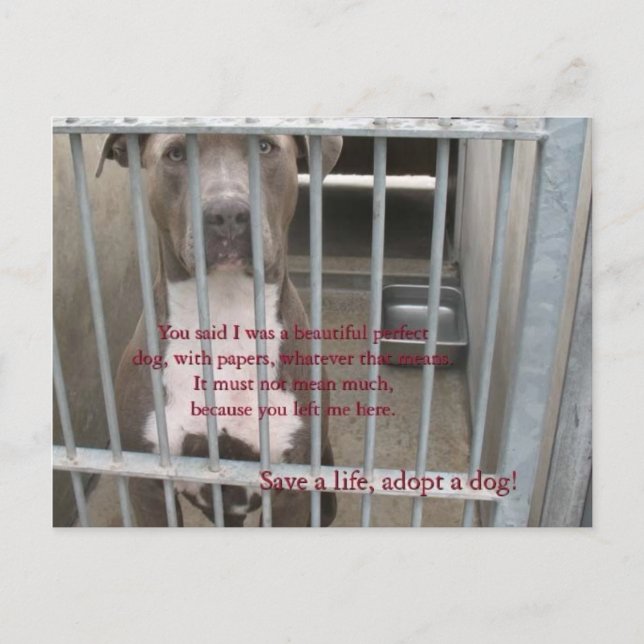 Postal papeles (Anverso)