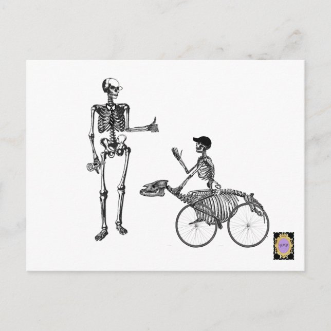 Postal Papi humorístico (Anverso)