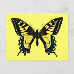 Postal Papilio machaon