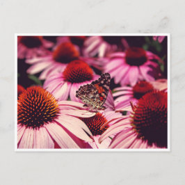 Postal Papillon