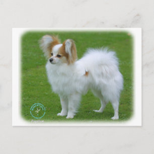 Postal Papillon
