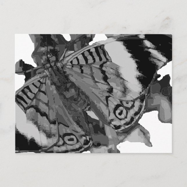 Postal papillón (Anverso)