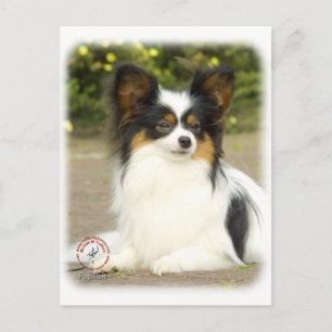 Postal Papillon