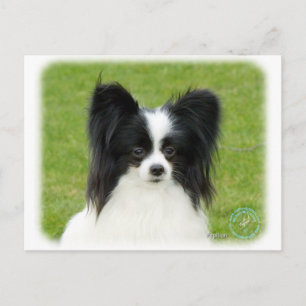 Postal Papillon 9T056D-088