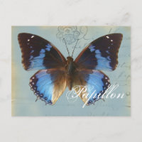 Papillon bleu