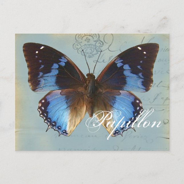 Postal Papillon bleu (Anverso)