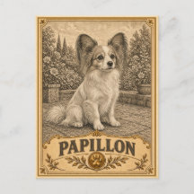 Papillon, Colección de Perros Antiguos