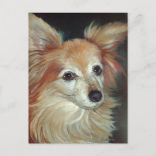 Postal Papillon Postcard