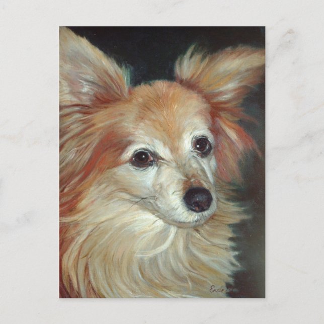 Postal Papillon Postcard (Anverso)