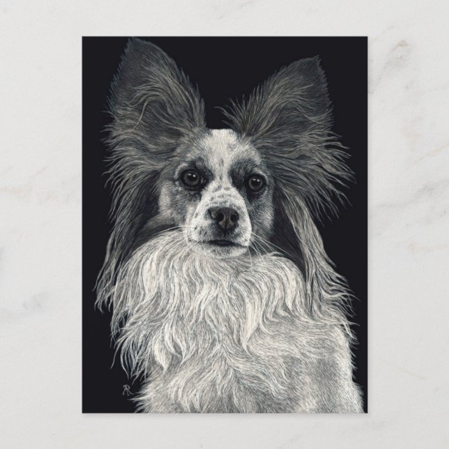 Postal Papillon Postcard - "Sparkles" (Anverso)