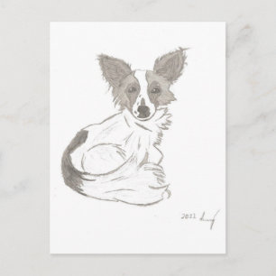 Postal Papillon Sketch Postcard