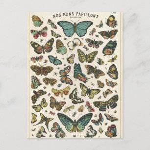 Postal Papillones de ilustracion nos bons