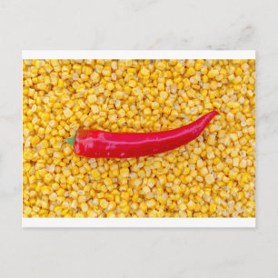 Postal Paprika sobre el maíz